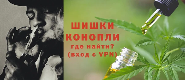 дживик Арсеньев